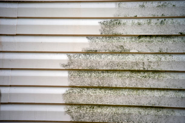 Best Construction Debris Removal  in Versailles, MO